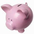 BER cert piggy bank BER cert piggybank